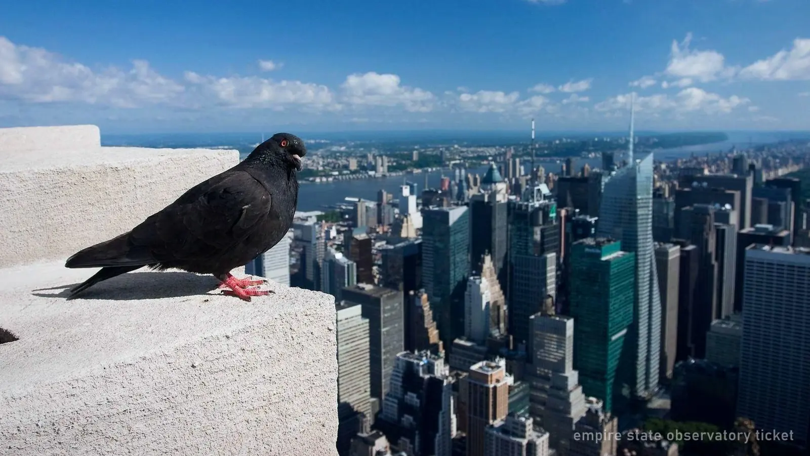 Empire State Observatory Ticket & Digital Tour — photo from the booking listing, Empire State Building, New York